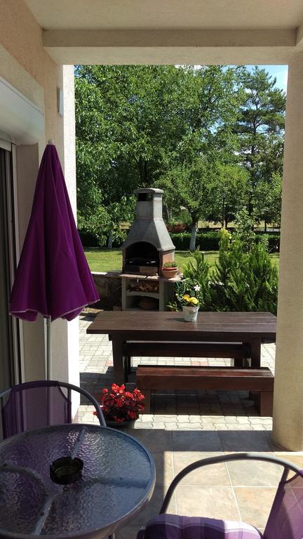 Apartment Casa Eni Drazice Exterior photo